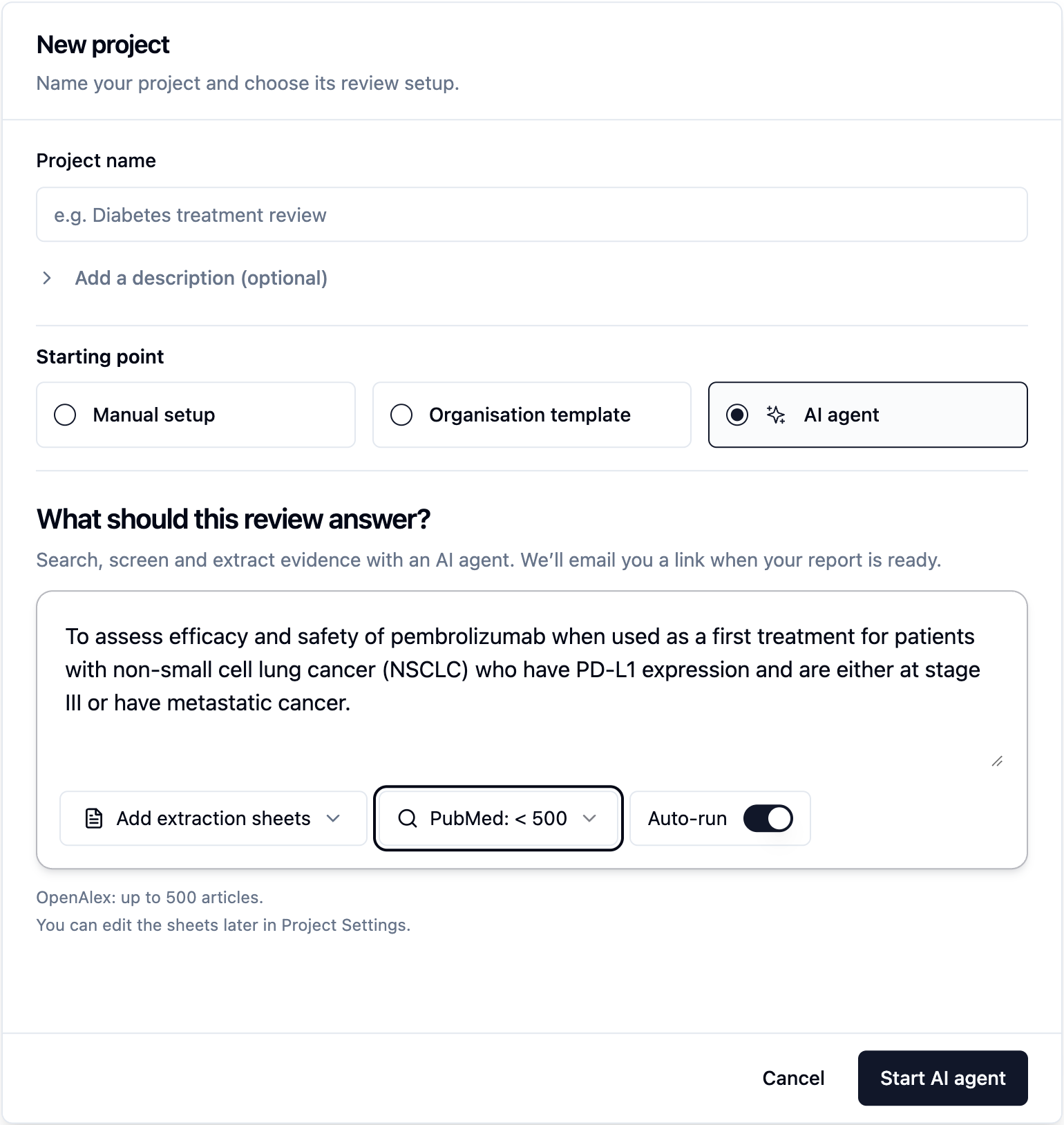 New project setup page with AI agent starting point and auto-run toggle